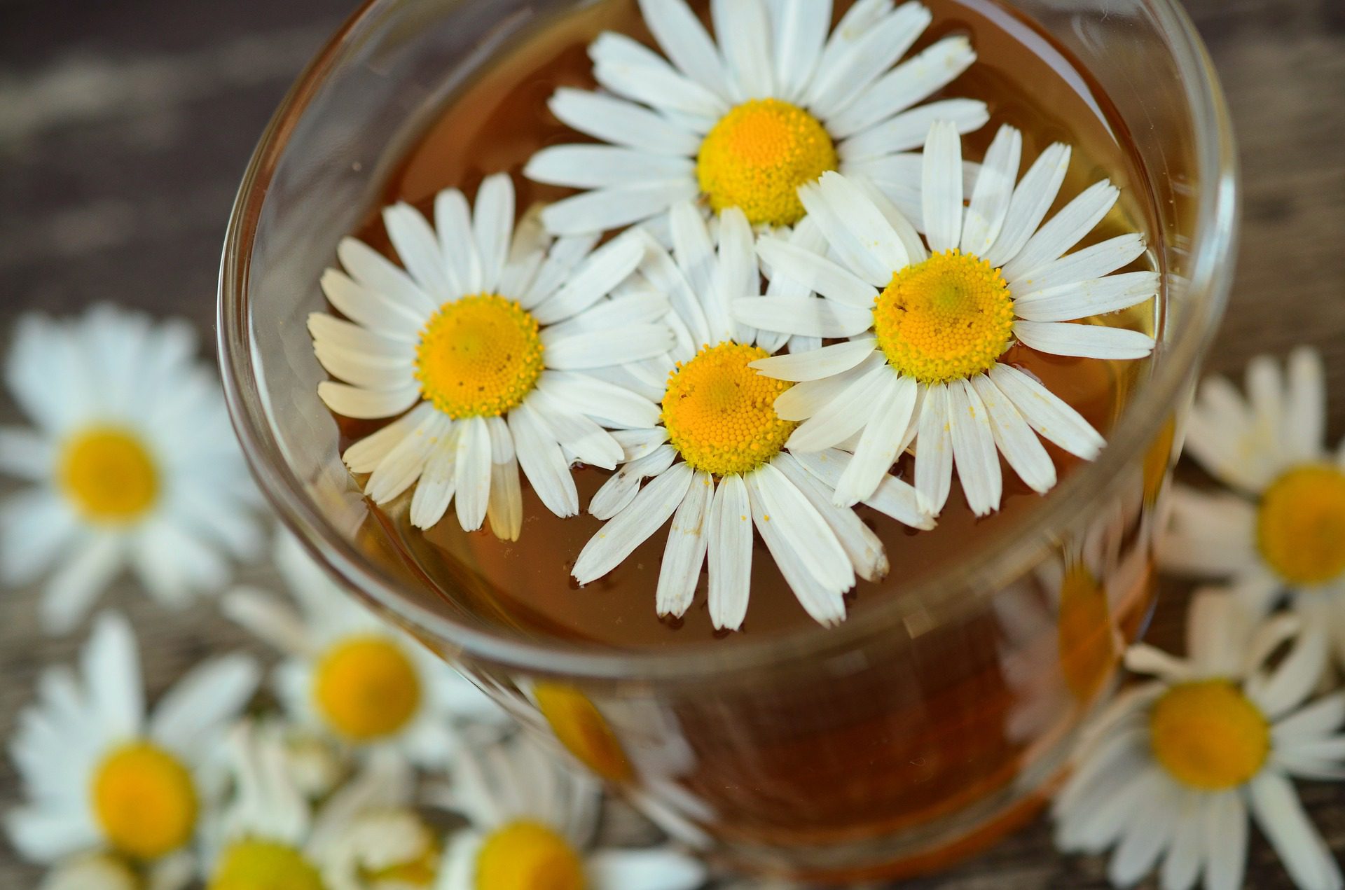 The 5 Best Chamomile Tea Brands for 2023